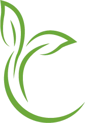 ホームページリニューアルしました。